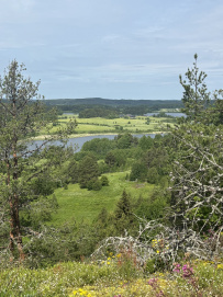 Крыша Ладоги