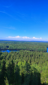 Соловецкие острова на морских каяках