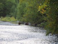 Сердце Камчатки – Природный парк Ключевской