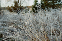 Поход на Треугольное озеро (ночёвка в гостевом доме Лиетлахти)