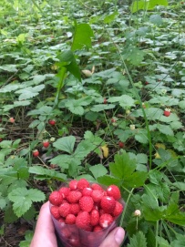 Семь чудес Приэльбрусья (автотур, трекинг, фототур)