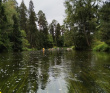 Оредеж — прогулка на байдарках (1 день)