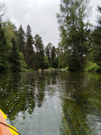 Оредеж — прогулка на байдарках (1 день)