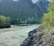 Сплав по реке Катунь