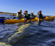Соловецкие острова на морских каяках