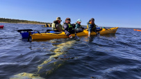 Соловецкие острова на морских каяках