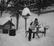 Зима за Полярным кругом (Териберка)