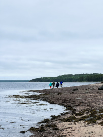 Сплав по реке Кереть и Белое море
