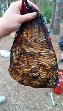 Сплав с баней по реке Клязьма