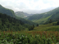 Горный лагерь в Дигории (Северная Осетия)