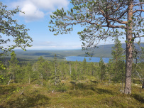 Колвица на морских каяках (байдарках). Путешествие на землю Саамов