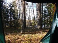 Сплав по реке Мста (на майские)