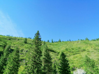 Сплав по рекам Малая и Большая Сумульта и Катунь