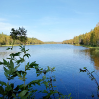 Крыша Карелии (национальный парк Паанаярви)