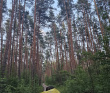 Шёпот мещёрских лесов да гладь озёр