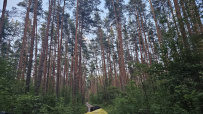 Шёпот мещёрских лесов да гладь озёр
