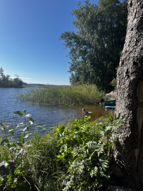 Водное ассорти с детьми: на лодках, байдарках, сапах