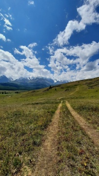 Горный лагерь в Актру (проживание в домиках)