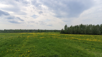 Ленобласть. Пеший поход полсотни миль