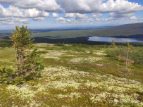 Колвица на морских каяках (байдарках). Путешествие на землю Саамов