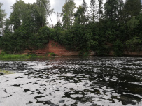 Оредеж — прогулка на байдарках (1 день)