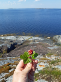 Сплав по реке Кереть и Белое море