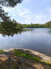 Крыша Ладоги