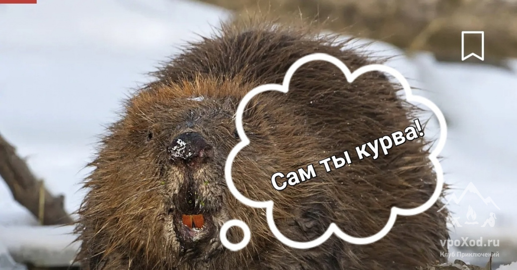 «Твоя вершина»: восхождение на Западную вершину Эльбруса