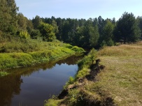 Детский турслёт