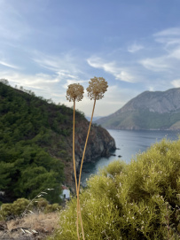 В Сердце Ликийской тропы (Поход вдоль моря, без рюкзаков)
