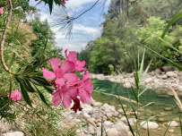 Лето на Ликийской тропе (прогулки, горы и море)