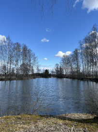 Дикое межсезонье