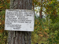 Велопоход «Красоты Мещёры» (Подмосковье)
