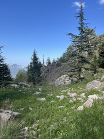 По Ликийской тропе через горы к морю (классический пеший поход)