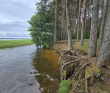 Пеший поход к Московскому морю