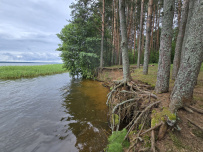 Пеший поход к Московскому морю