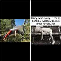 Горный лагерь в Дигории (Северная Осетия)