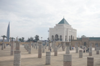 Все цвета королевства контрастов