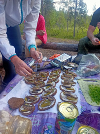 Сплав по реке Писта (Пистайоки) на байдарках