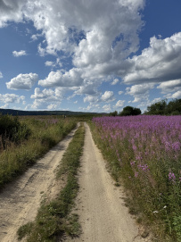 Крыша Карелии (национальный парк Паанаярви)
