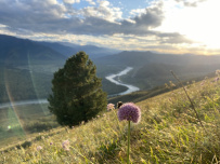 Сплав по реке Катунь