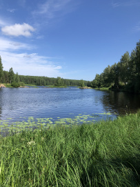 Сплав по реке Шуя