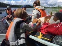 Водное ассорти с детьми: на лодках, байдарках, сапах