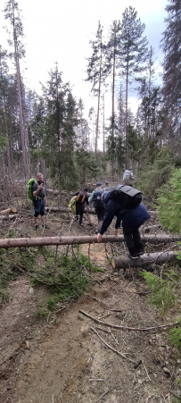 По следам Лыжной Стрелы