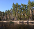 Сплав по реке Лух на байдарках с походной баней - Владимирская область
