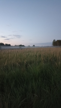 Пеший поход «Пантелеево болото да река Сестра»