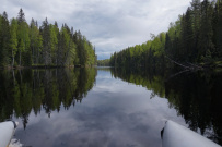 Сплав по реке Шуя