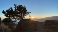 Алустон комфорт-тур