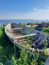 Соловецкие Острова в Белом Море (экскурсии + поход)