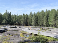 Петроглифы Беломорья